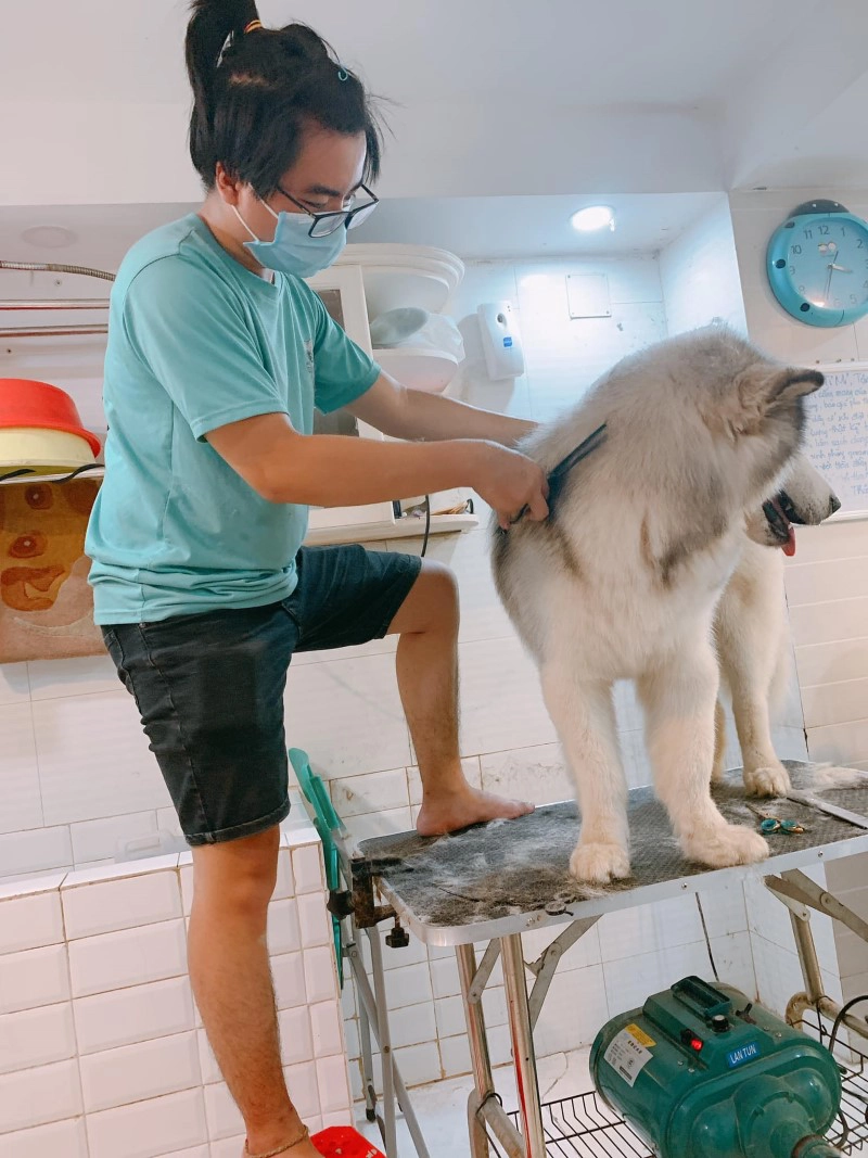 chuyen grooming pet