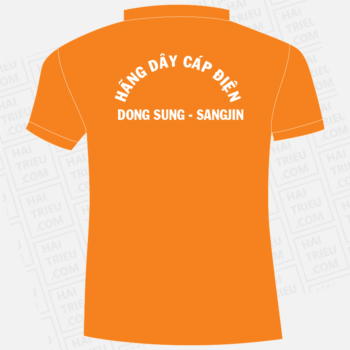 hang day cap dien dong sung sangjin