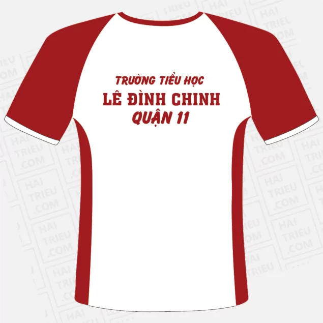 ao the duc truong tieu hoc le dinh chinh