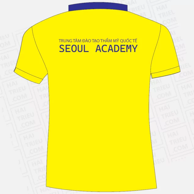 dong phuc seoul academy