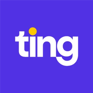 Logo Vi Ting