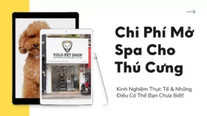 az chi phi mo spa cho thu cung