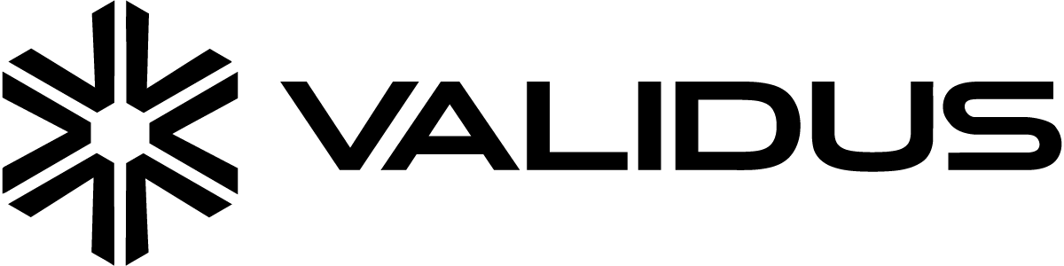 Logo Validus am ban