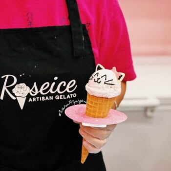 tap de dong phuc Roseice - Artisan gelato