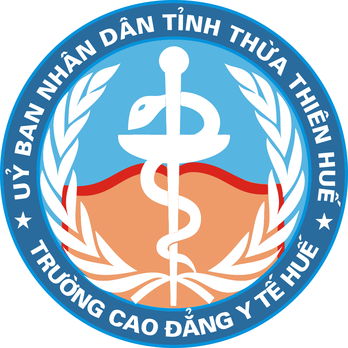 Logo Truong Cao Dang Y Te Hue