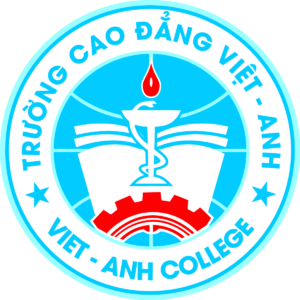 Logo Truong Cao dang Viet Anh