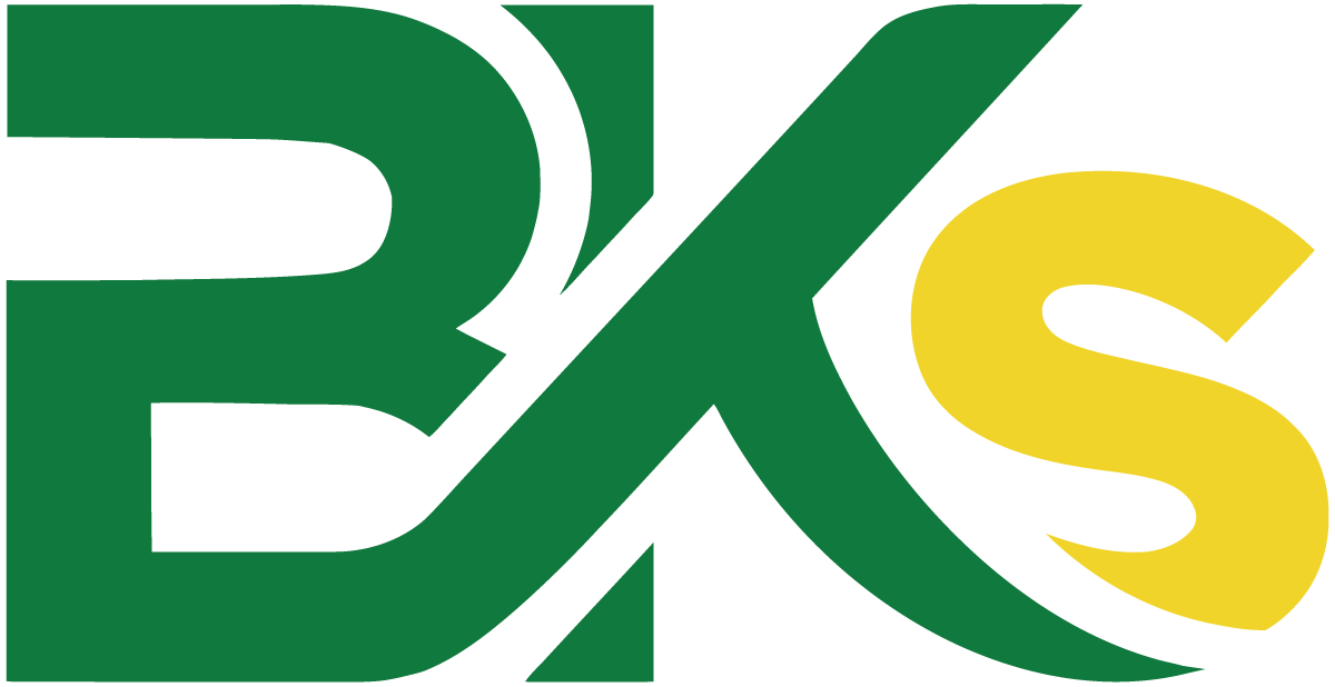 Logo Truong Trung Cap Cong Nghe Bach Khoa BKS