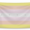 co toan gioi (pangender flag)