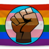 co tu hao nguoi da mau (queer people of color pride flag)