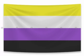 co tu hao phi nhi phan (nonbinary pride flag)
