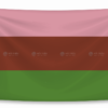 co tu hao tinh nu luyen ai (gynesexual pride flag)