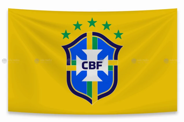 co doi tuyen bong da brazil